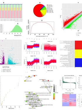 mRNA 二代测序原始数据分析fastq数据分析生信分析完整报告-全套
