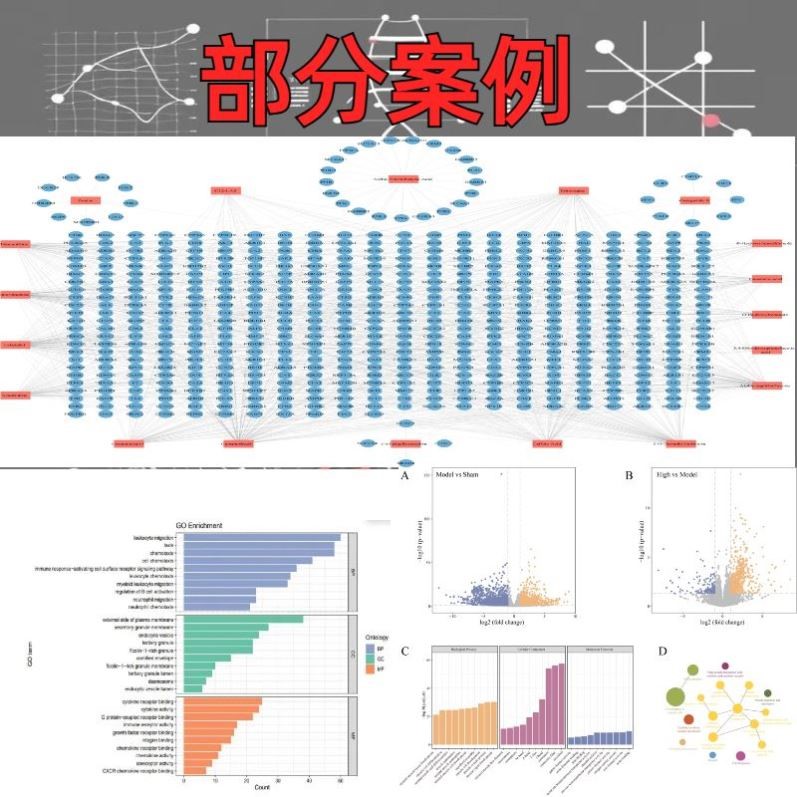 网络药理学专业代做cytoscape作图GO KEGG富集PPI网络
