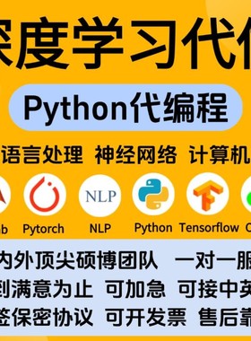 Python代编程深度学习神经网络算法代做创新点消融实验指导接单