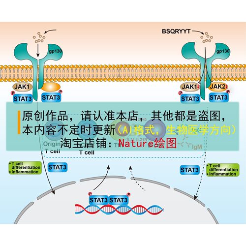 SCI科研绘图素材AI素材生物医学代画学习素材医学绘图AI模板