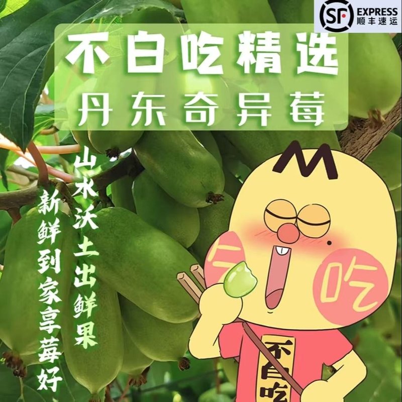 我是不白吃新鲜丹东软枣猕猴桃奇异莓当季水果口感细腻 囤货