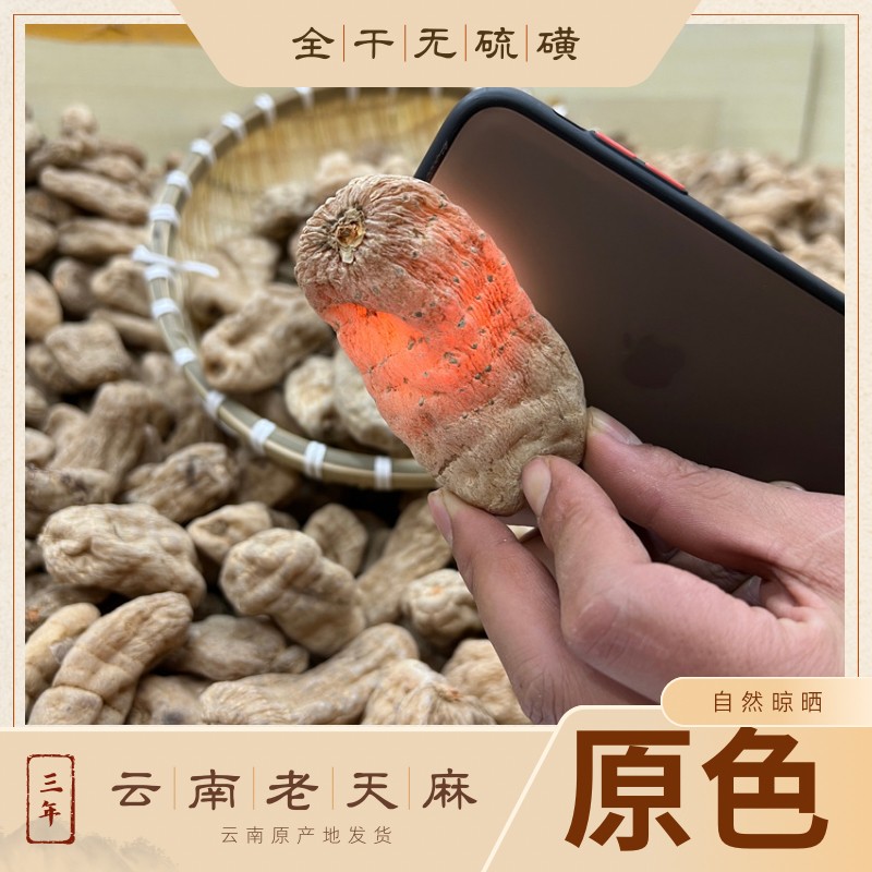 正宗云南昭通老天麻天麻小王子产地直发小草坝新鲜天麻