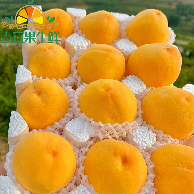 产地直发山东蒙阴黄桃新鲜水果黄金蜜桃黄毛桃脆甜多汁黄金蜜桃