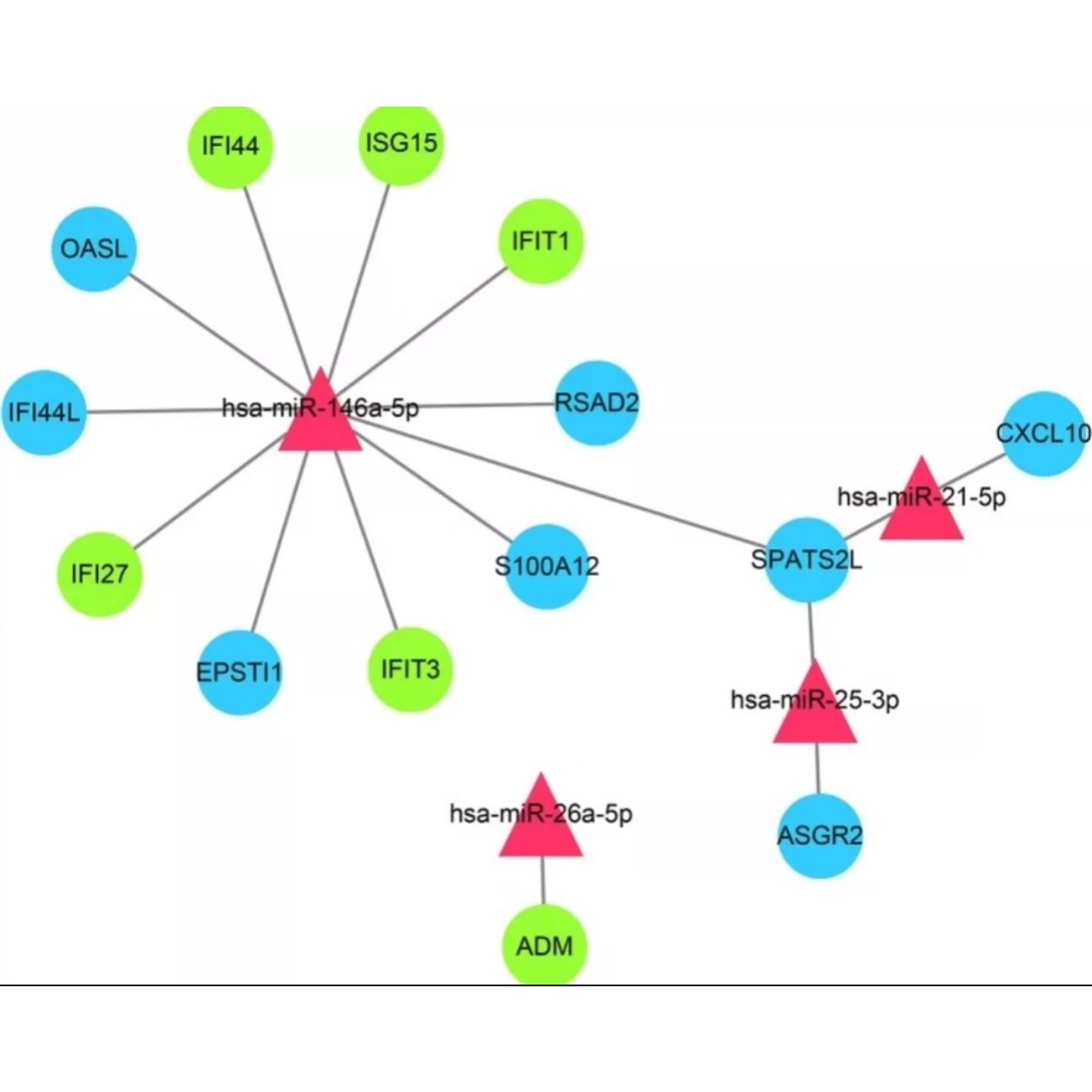 系统学单细胞测序/chipseq/RNAseq/Atacseq/R语言培训