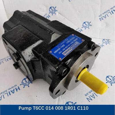 Hydraulic Pump T6CC 014 008 1R01 C110 SPARE PART舱盖液压备件