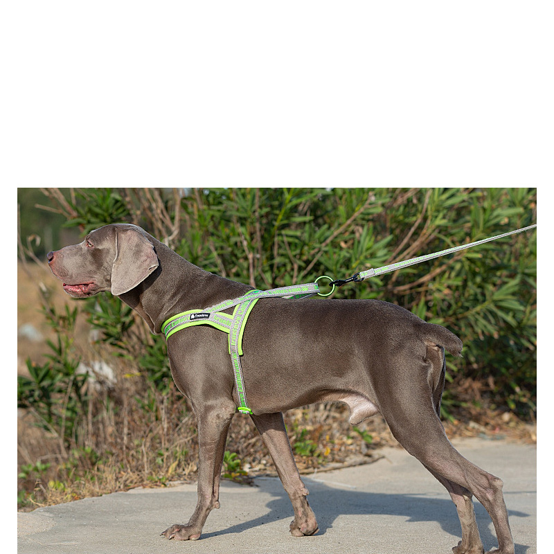 狗狗牵引绳法斗金毛巴哥胸背带大中小型犬遛狗绳反光结实宠物用品