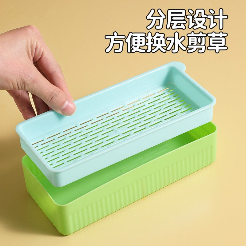 水培猫草盒懒人猫草种植套装猫咪零食成猫幼猫绿植化毛球猫草
