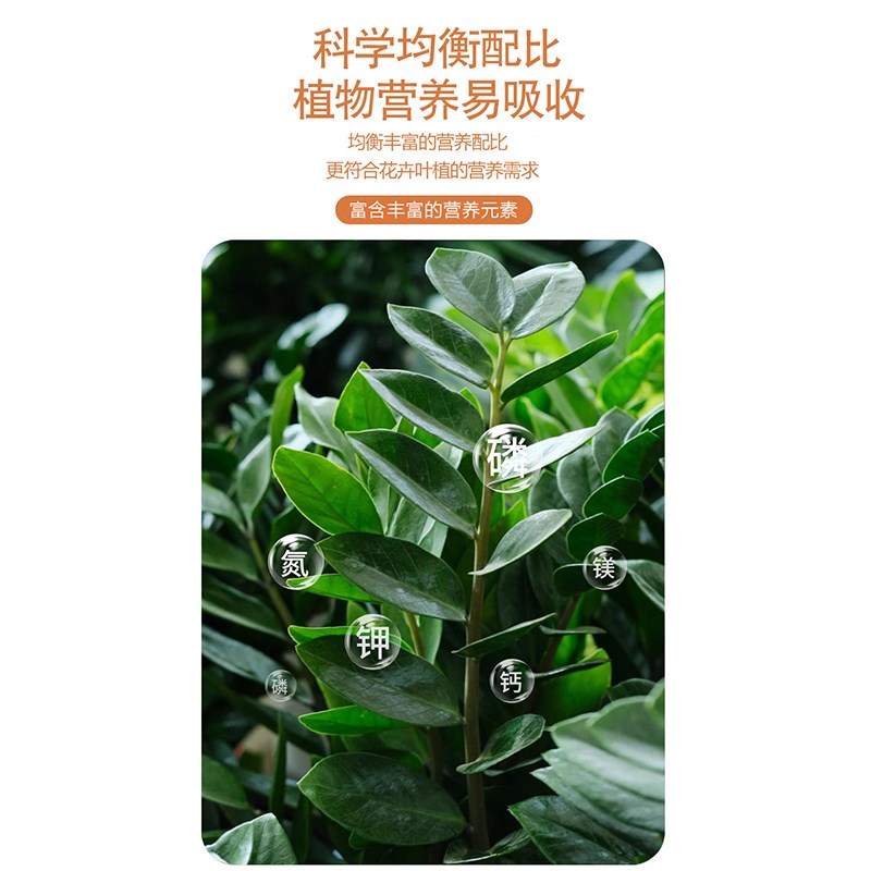 免稀释金钱树营养液肥料家用专用肥通用型室内盆栽绿植通用叶面肥