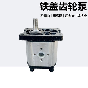 加强型液压油泵花键齿轮泵动力机306 316 314 25压力25MPA 310