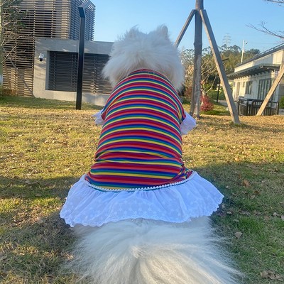 宠物狗狗夏季衣服中大型犬萨摩耶金毛阿拉斯加二哈透气彩虹公主裙