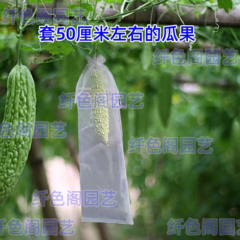 长丝瓜网眼套袋黄瓜青瓜苦瓜套袋专用袋防虫袋保护套瓜果水果瓜果