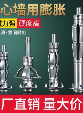 膨胀塞装修丝钉膨胀螺丝管飞机型彭张防脱墙上澎涨膨胀钉配管镙钉