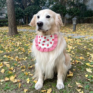 港子与狗宠物口水巾小中大型犬萨摩比熊金毛围脖围巾狗狗领结饰品