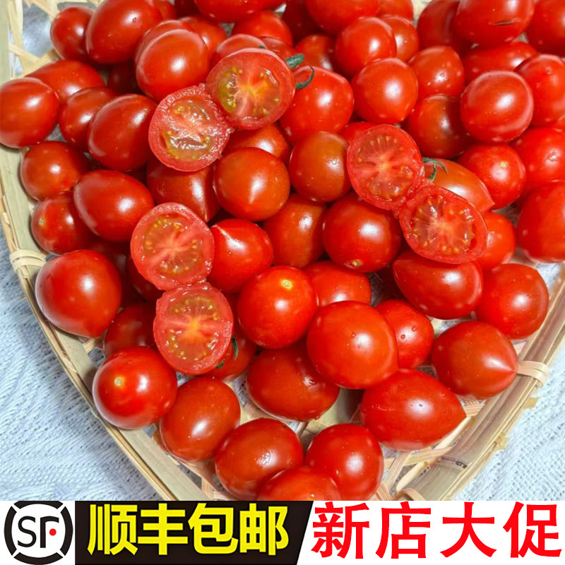 正宗超甜釜山88玲珑千禧圣女果樱桃小西红柿番茄新鲜蔬菜孕妇水果