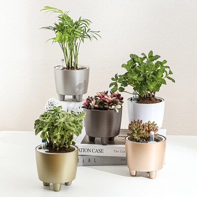 多肉盆栽小花盆迷你可爱小方盆小口径带底盘不漏水可储水自动吸水