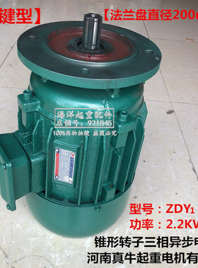 河南真牛电机型号MODEL ZDY23-4功率TYPE2.2KW摆线针减速机对接口