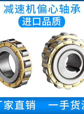 摆线针轮减速机偏心轴承RN309摇摆205 206 307 312 219整体双偏心