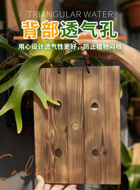 鹿角蕨上板鹿角蕨碳化板鹿角蕨挂板鹿角蕨板植挂板鹿角蕨定值板