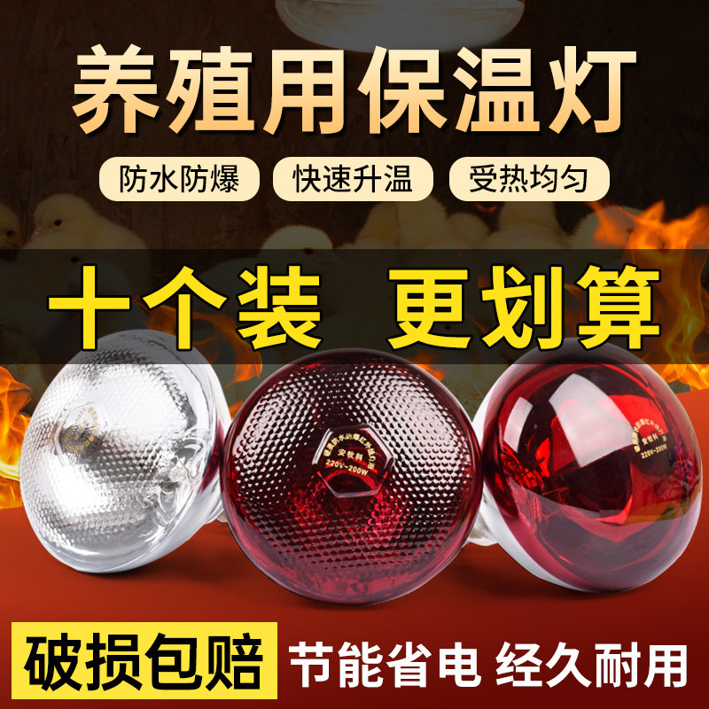 保温灯小鸡育雏养殖场专用猪用小猪育雏保暖灯加温热取暖灯泡烤灯,畜牧/养殖物资,养殖保温灯,淘宝优惠券,粉丝福利购,淘宝优惠卷