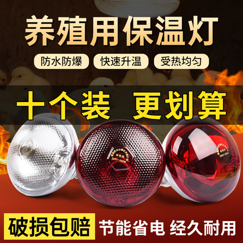 保温灯小鸡育雏养殖场专用猪用小猪育雏保暖灯加温热取暖灯泡烤灯