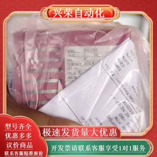 E60 50SLM SEC HORIBA气体计