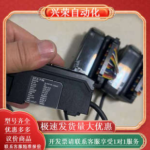 RB1A功能 放大器GT2 71N