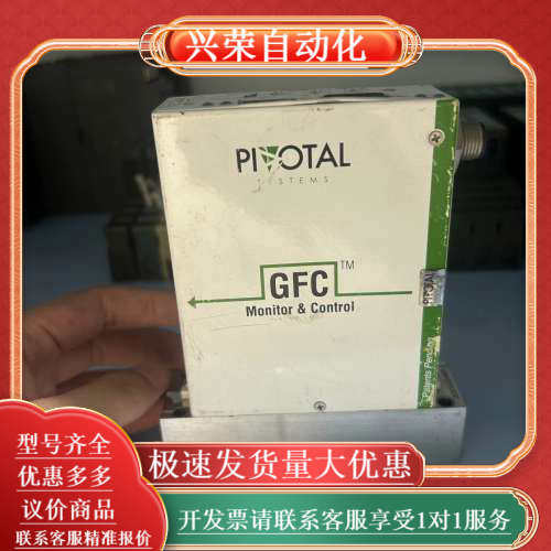 PIOTAL 50SCCM计，型号：32-02407