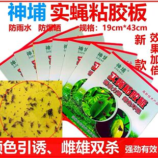 神埔实蝇粘胶板果蝇贴灭果蝇诱器瓜果实蝇诱粘剂针蜂引诱剂粘蜜蜂