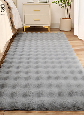 卧室地毯2c024新款客厅沙发茶几垫子家用毛绒床边免洗房间飘窗地