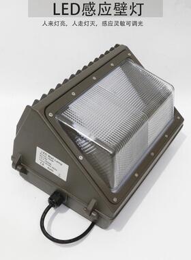马路壁灯LED墙角灯60w80w100w120w感应花园灯自动点亮人走即灭
