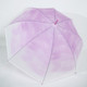 自动长柄伞 甜美晕染朦胧磨砂透明伞纤细弯钩直柄伞防水雨伞
