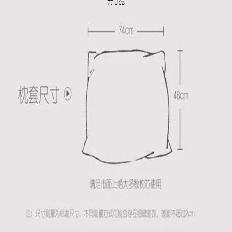 夏季双面枕套一对装桑蚕丝绸缎枕头套装单个凉爽枕套工厂一件