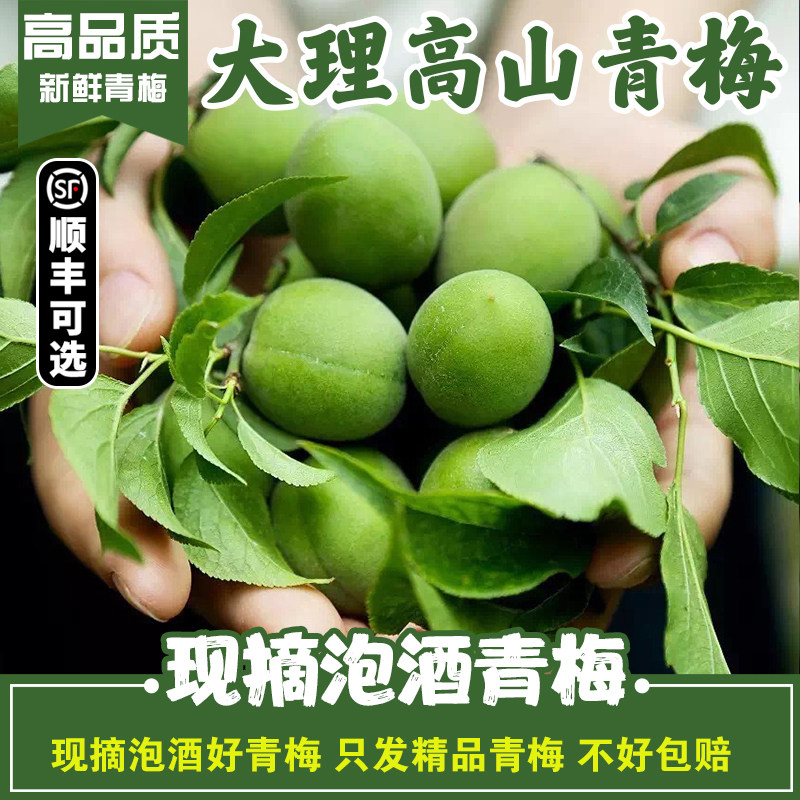 青梅鲜果新鲜青梅酸梅子泡青梅酒酵素果醋云南大理高山现摘水果梅