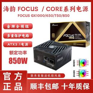 海韵电源金牌全模组 FOCUS GX750电脑电源 白色高功率750W适用于