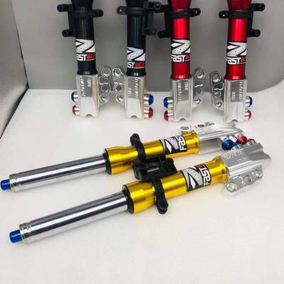 法斯特前减震30/31芯小牛N1 N1S小龟王酷奇战速福喜电摩改装前叉