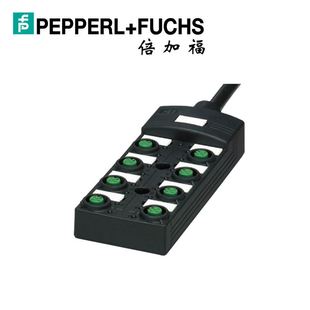 259977 PUR倍加福M12连接器8路分线盒