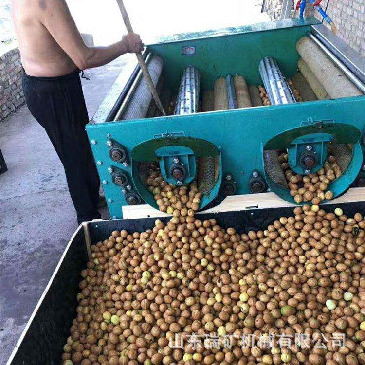 青核桃剥皮机小型家用山核桃去皮清洗一体机鲜核桃脱青皮机扒皮机
