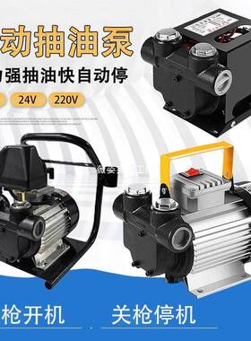 大流量柴油电动自吸加油泵抽油泵12V24V220大功率550W车载加油机