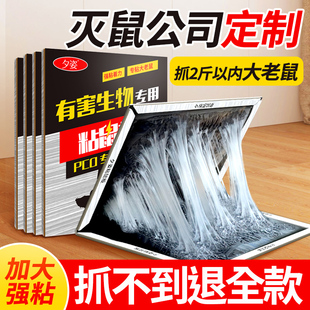 加大老鼠贴超强力粘鼠板鼠胶粘大老鼠抓捕引诱鼠笼老鼠夹神器家用