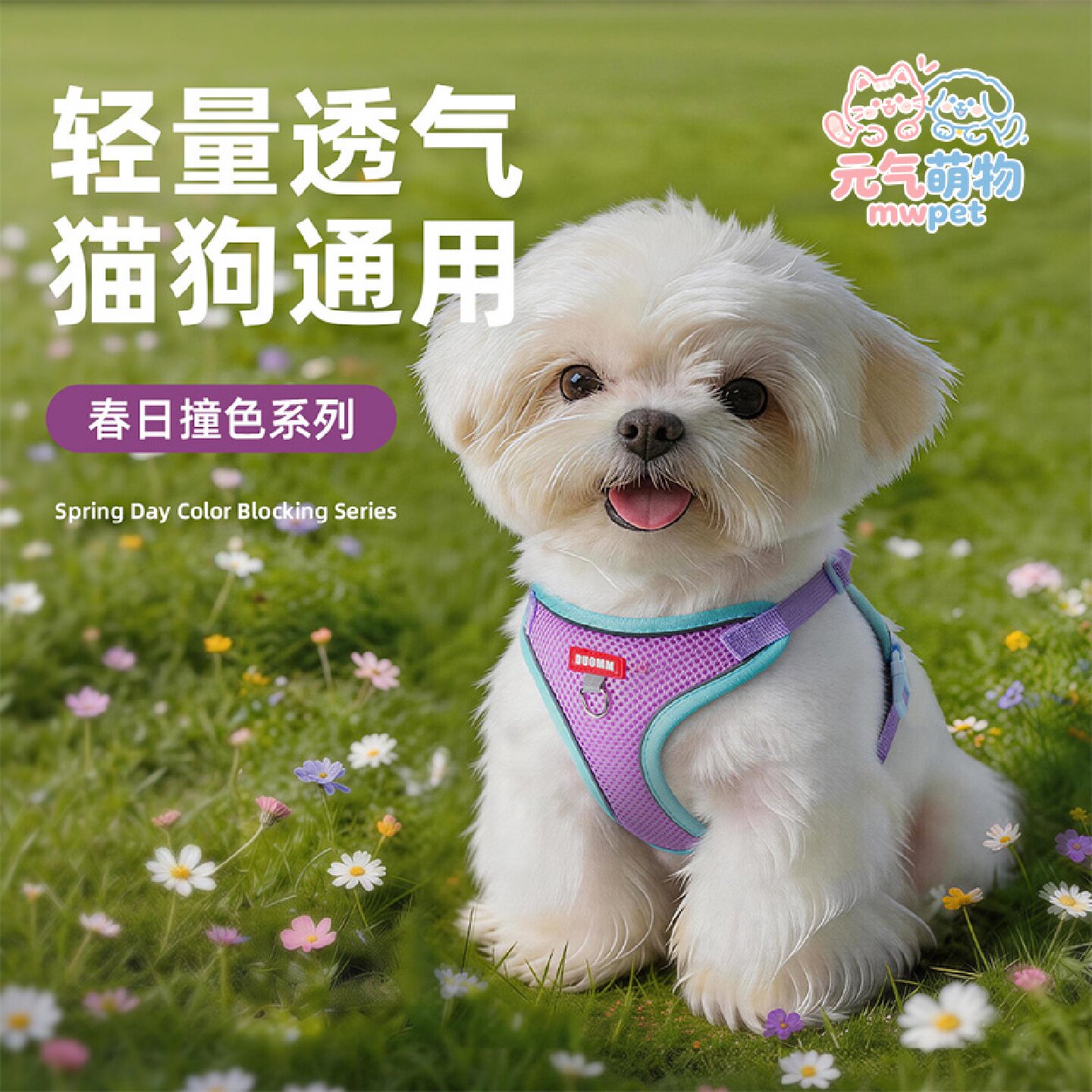背心式小型犬狗狗牵引绳比熊泰迪博美小狗幼犬夏季网眼透气胸背带
