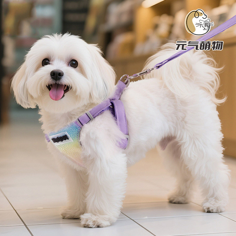 中小型犬背心式胸背反光牵引绳图片