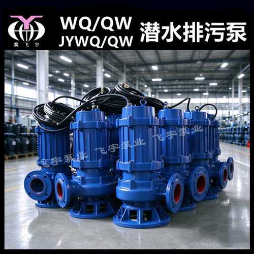 65WQ30-40-11 KW潜水电泵排污泵 QW无堵塞污水污物潜污泵提升泵