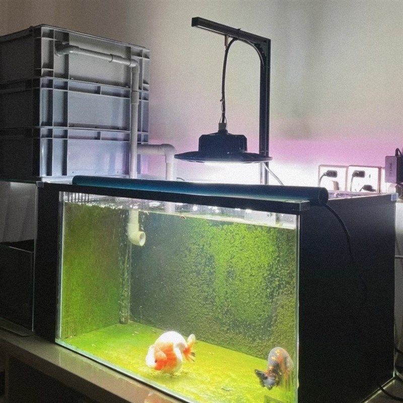 鱼缸灯工矿灯爆藻灯飞碟led照明灯超亮乌龟多肉生长全光谱