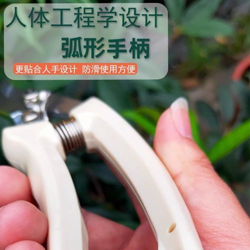 剪刀修枝剪果树剪子花剪园艺家用强力园林手剪大号不锈钢花卉绿化