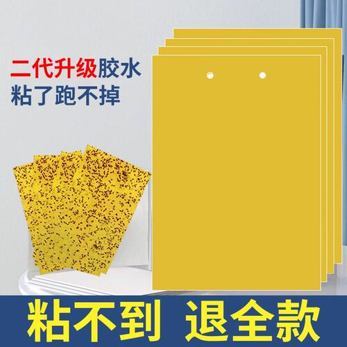 双面黄板粘虫板诱果蝇蚊蝇大棚