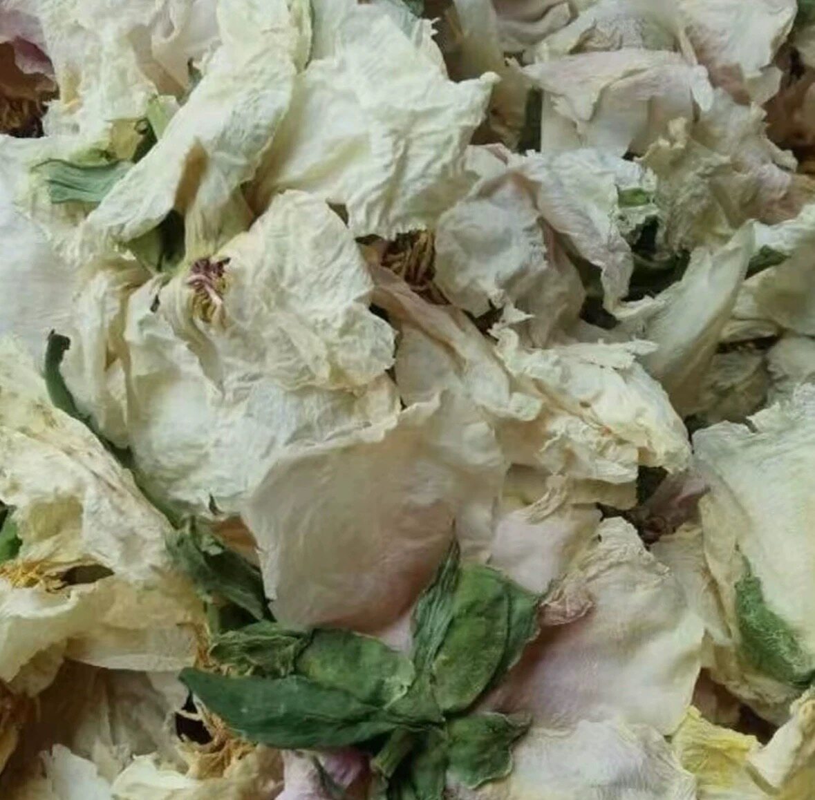 西域雪莲花 白玉峰天山雪莲花野生正品云南土山货煮水泡水