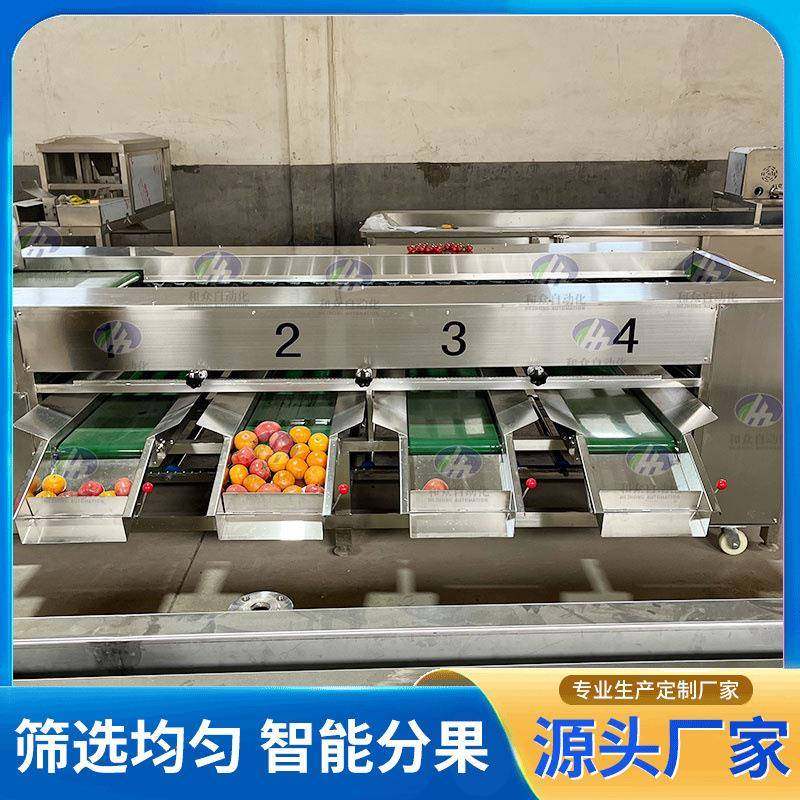 滚杠选果机大蒜洋葱蔬菜滚杠分选机不锈钢蜜薯大小分拣机选果机,清洗/食品/商业设备,其他食品加工设备,淘宝优惠券,粉丝福利购,淘宝优惠卷