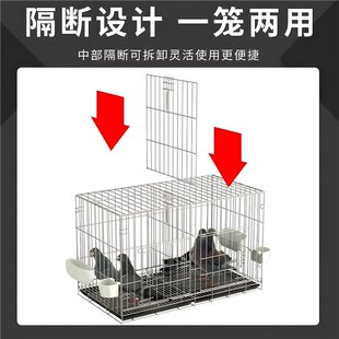 养鸽子专用笼新型白鸽子笼大空间繁殖大号特大加粗配对家用养殖笼