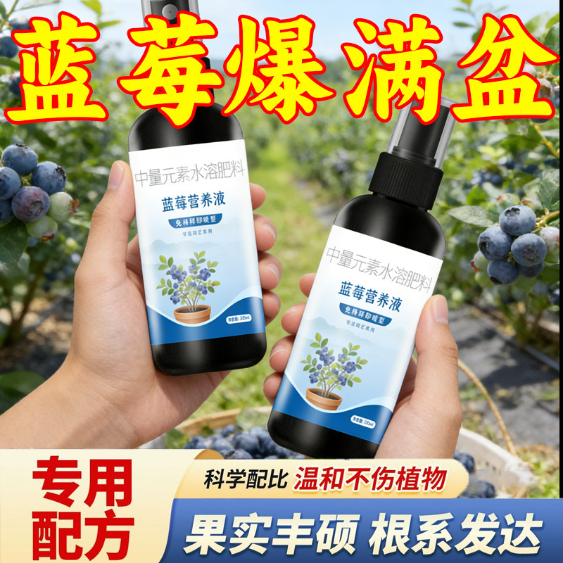 蓝莓专用营养液促果防黄叶