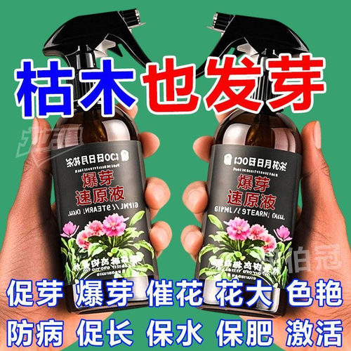 多肉爆芽素专用营养液